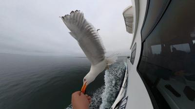 Прикрепленное изображение: изображение_viber_2022-07-15_11-26-13-643.jpg